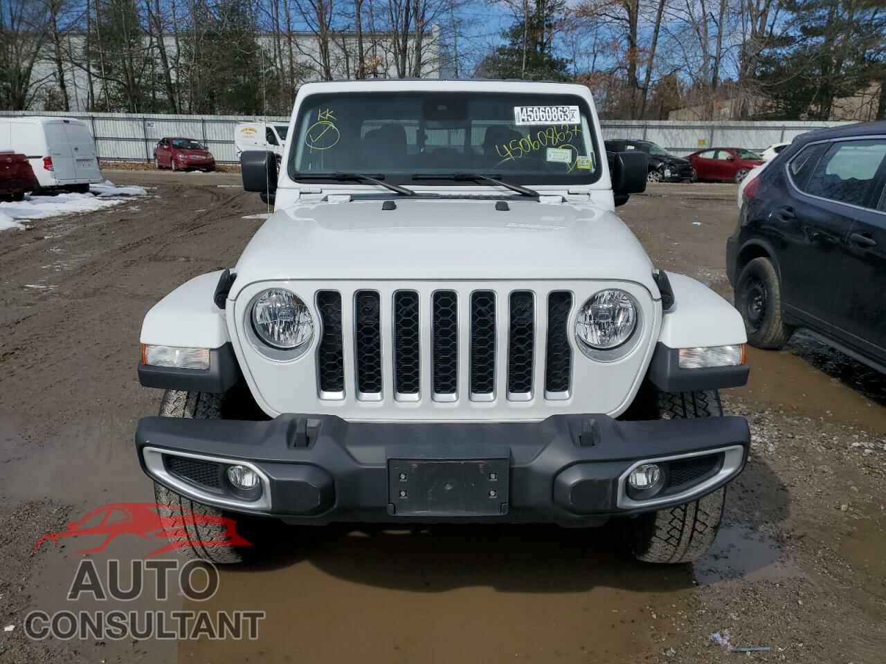 JEEP GLADIATOR 2020 - 1C6HJTFG1LL198216