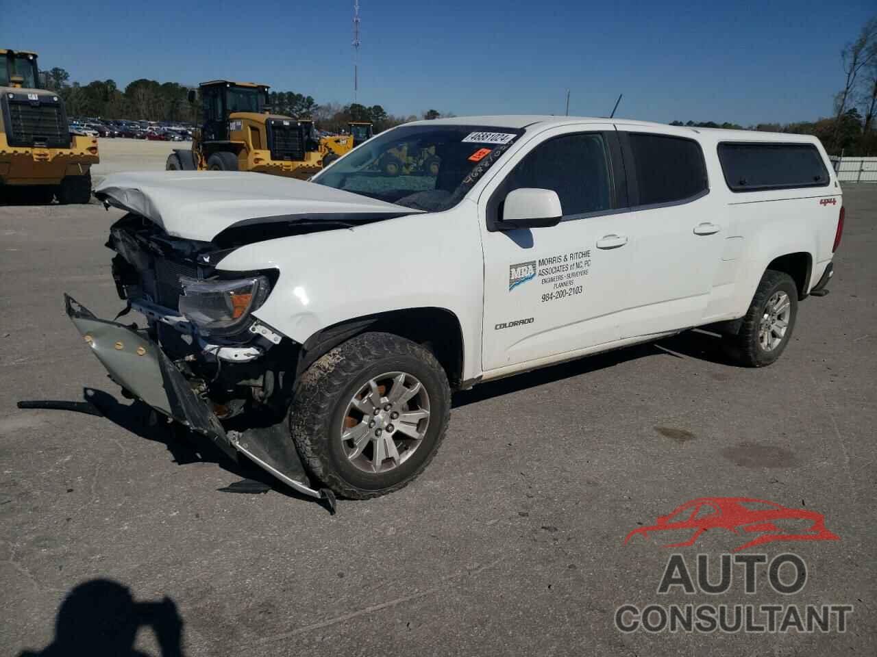 CHEVROLET COLORADO 2019 - 1GCGTCEN7K1130916