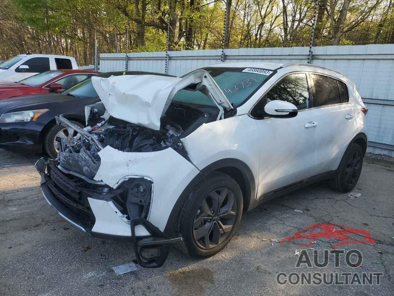 KIA SPORTAGE 2021 - KNDP63AC5M7843731