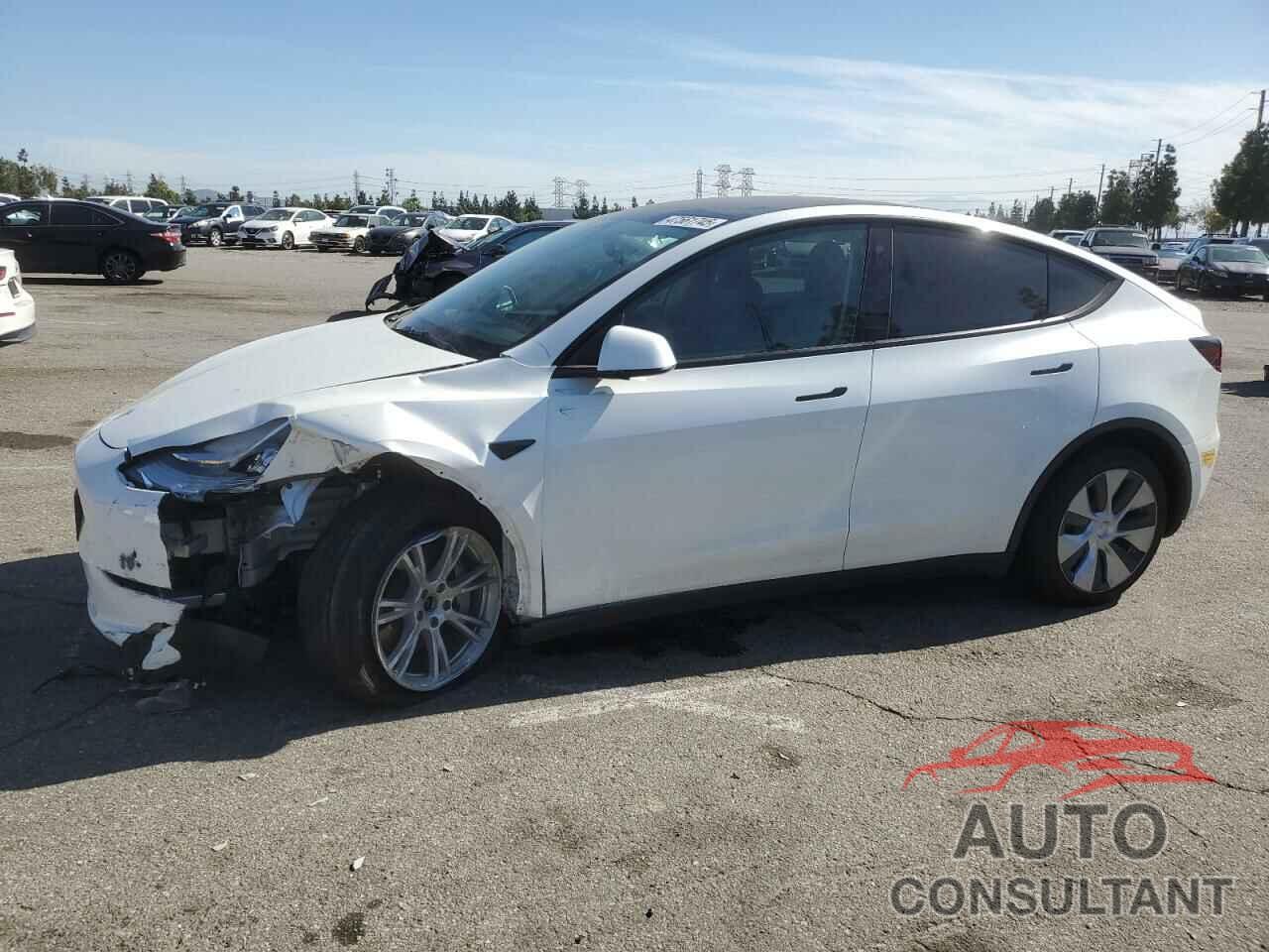 TESLA MODEL Y 2021 - 5YJYGDEE4MF284783