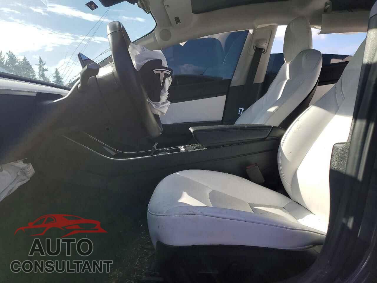 TESLA MODEL 3 2019 - 5YJ3E1EB2KF367355