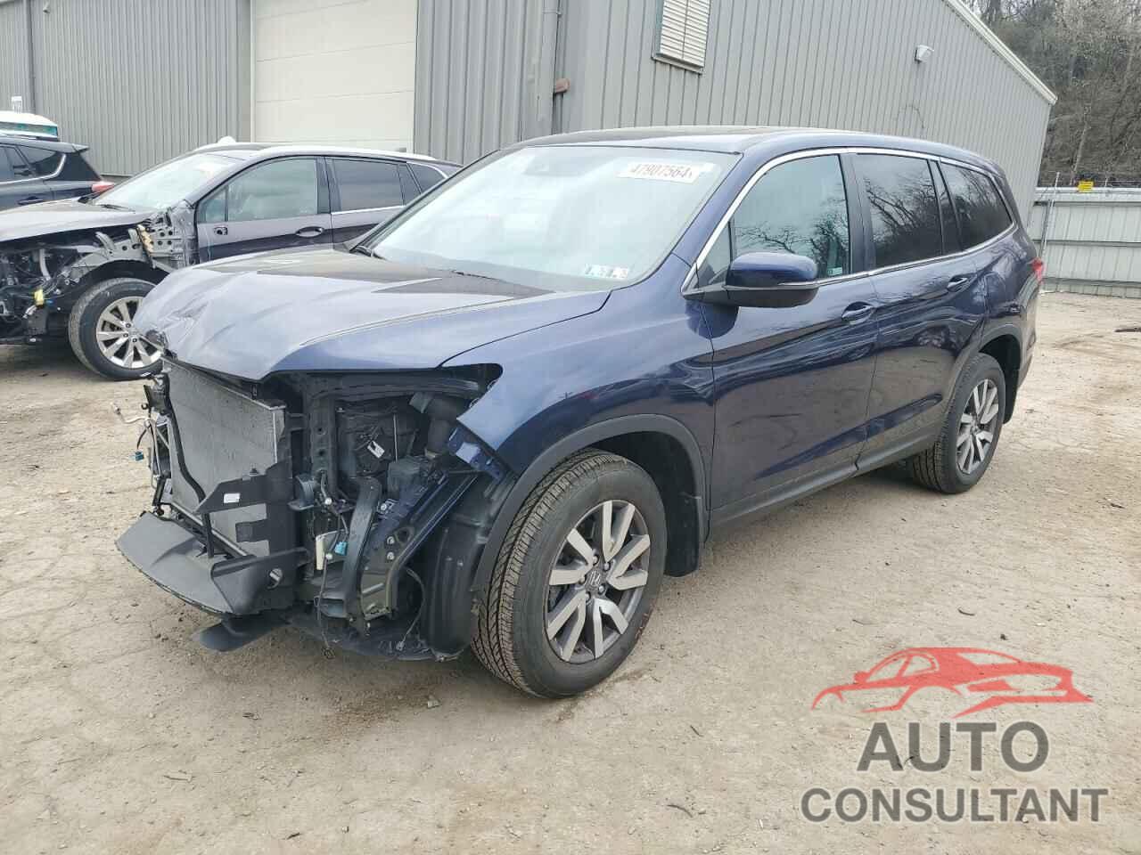 HONDA PILOT 2019 - 5FNYF6H52KB071306