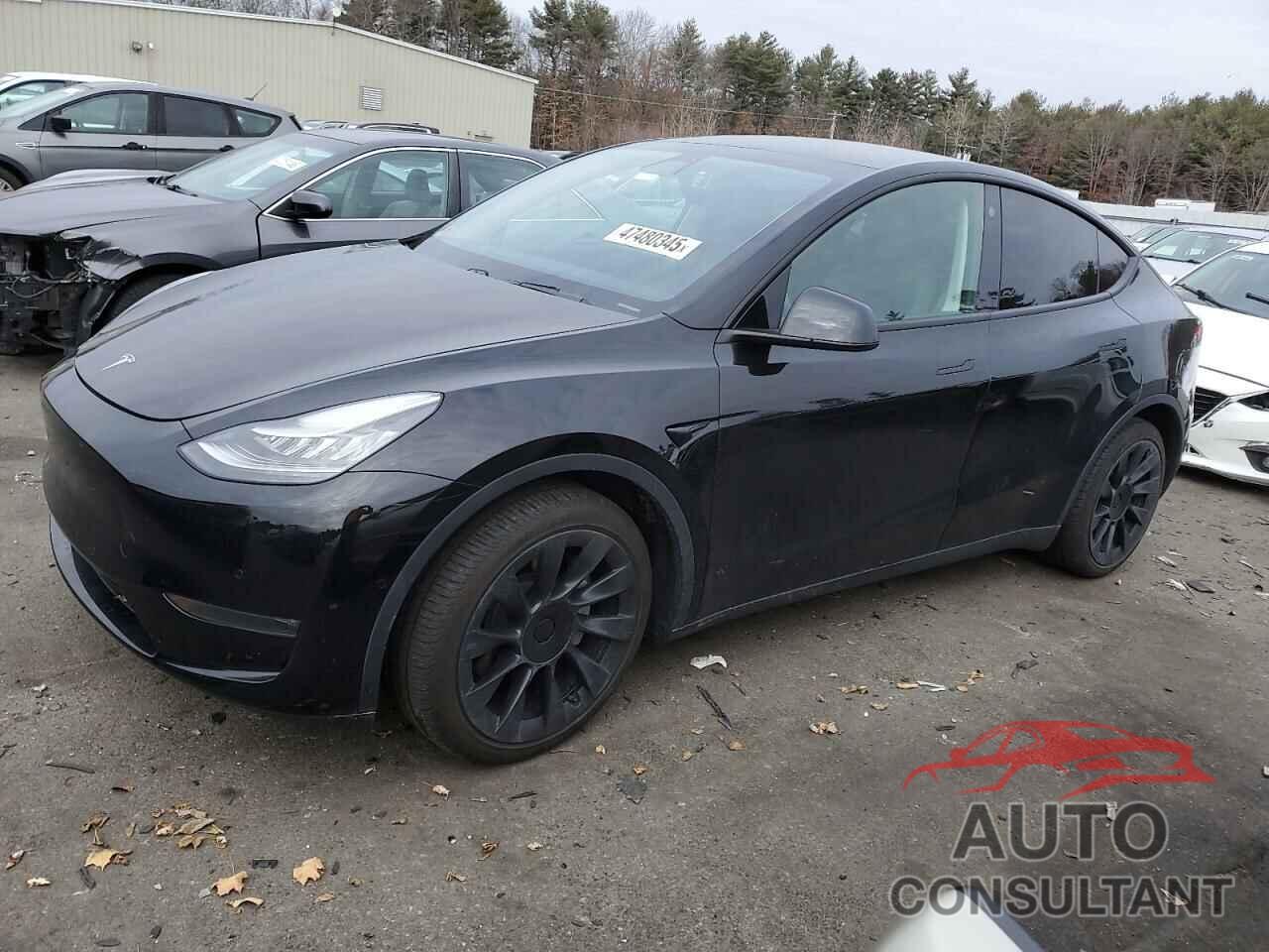 TESLA MODEL Y 2021 - 5YJYGDEE0MF088209