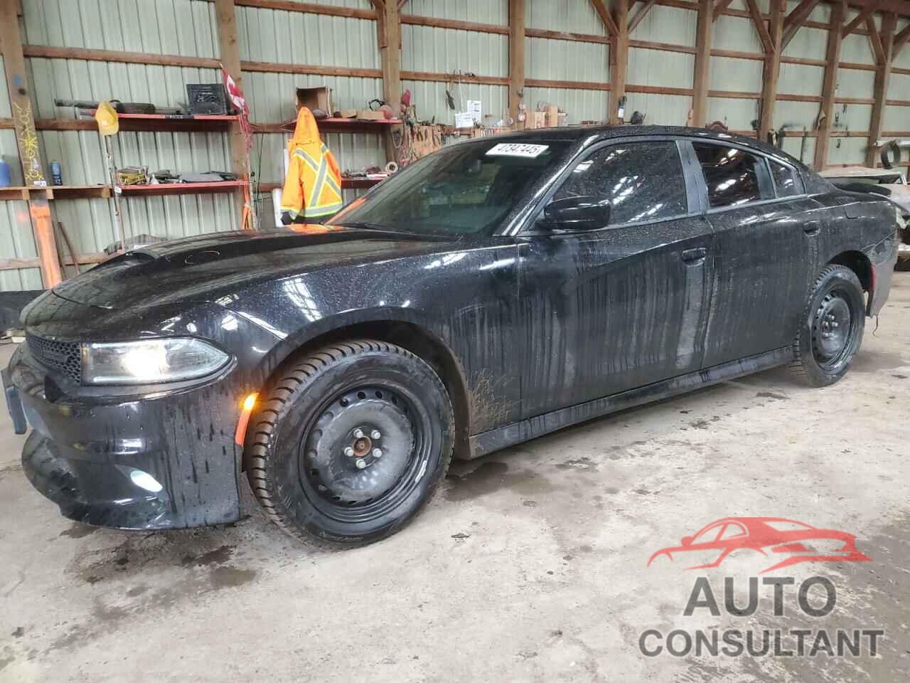 DODGE CHARGER 2022 - 2C3CDXMG1NH147890
