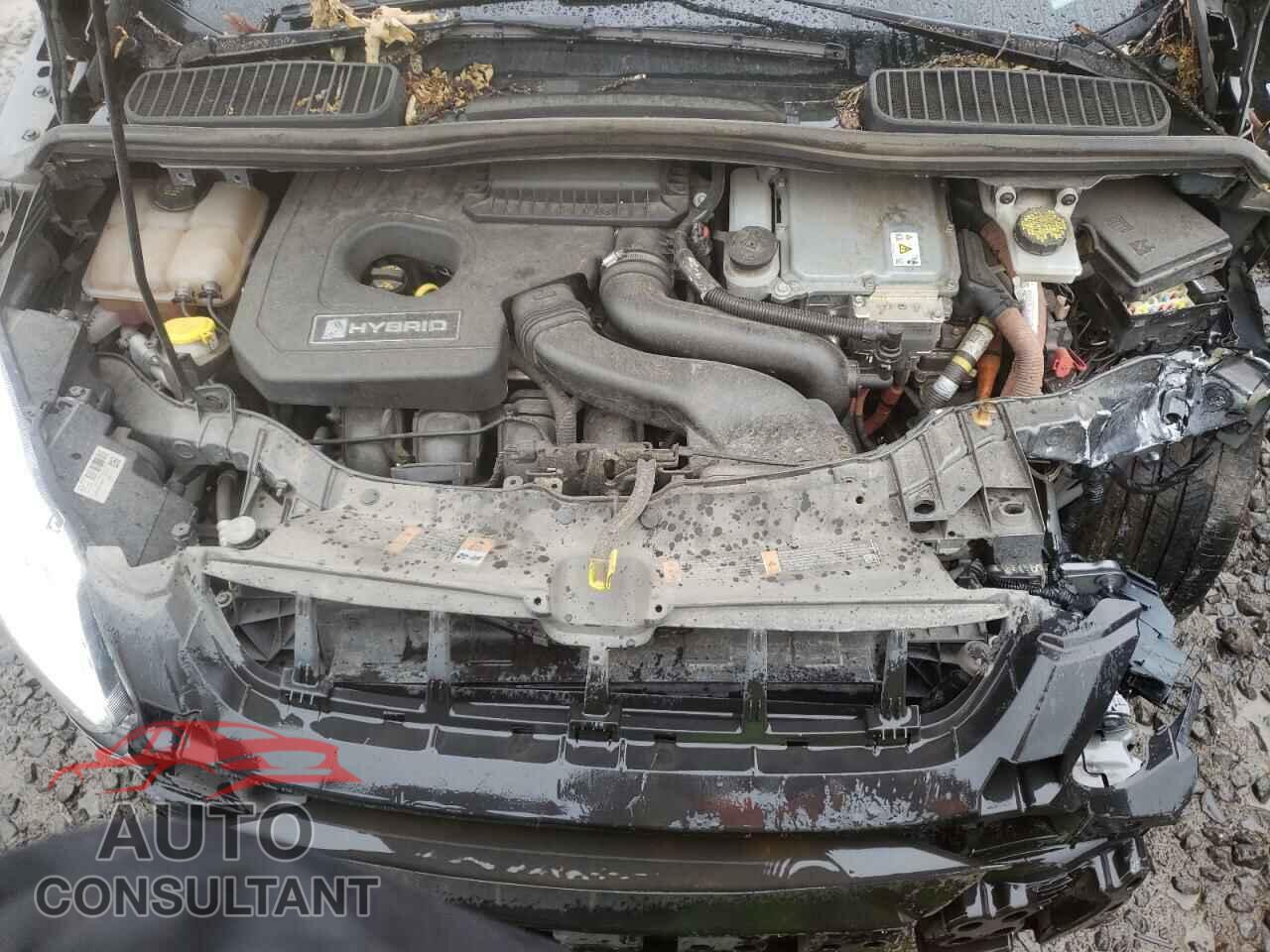 FORD CMAX 2017 - 1FADP5DU9HL118300
