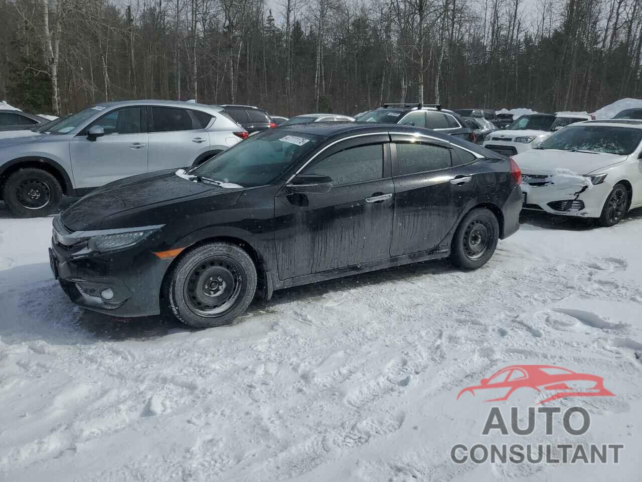 HONDA CIVIC 2016 - 2HGFC1F92GH105465