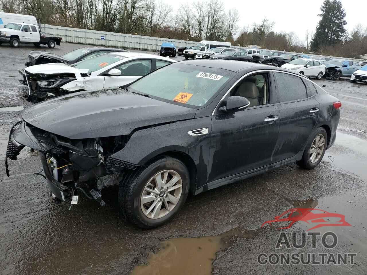 KIA OPTIMA 2017 - 5XXGT4L35HG144690