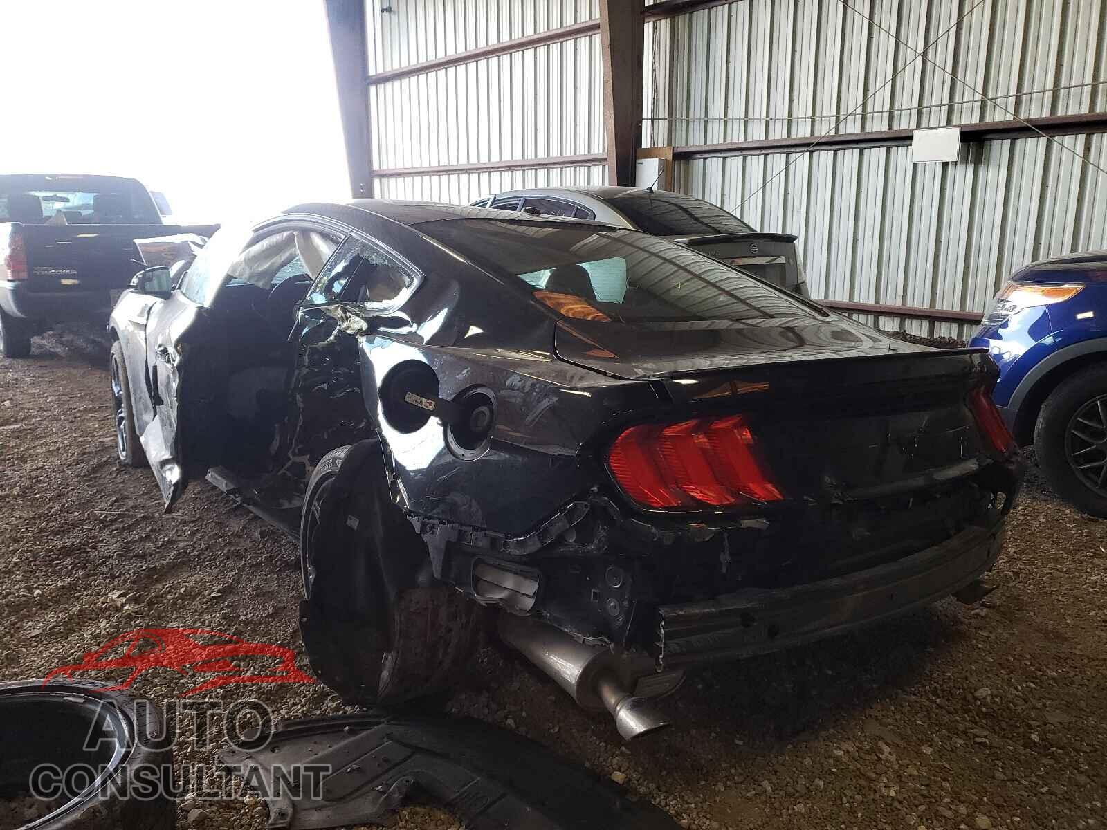 FORD MUSTANG 2019 - 1FA6P8TH3K5115063
