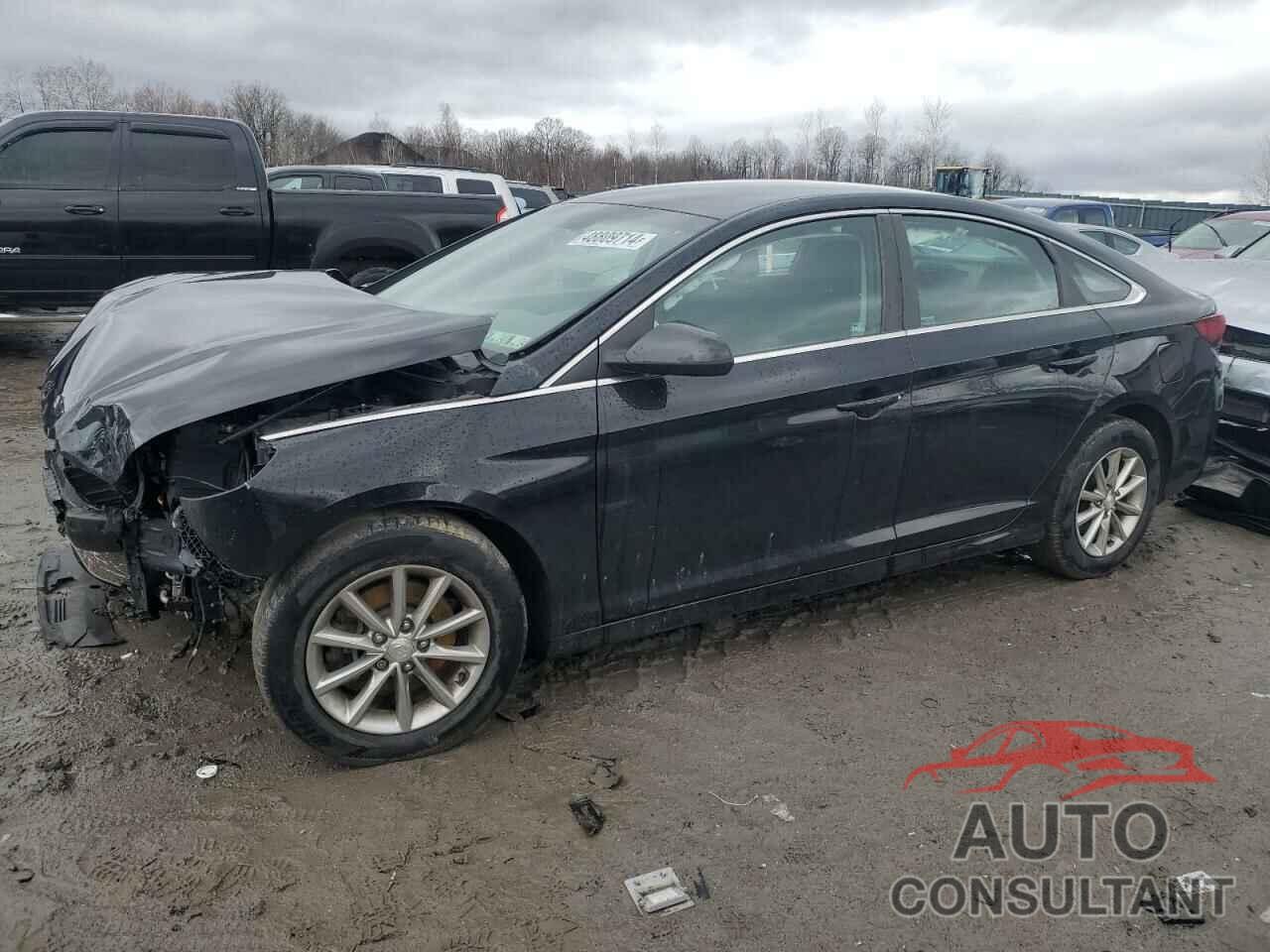 HYUNDAI SONATA 2018 - 5NPE24AF0JH613332