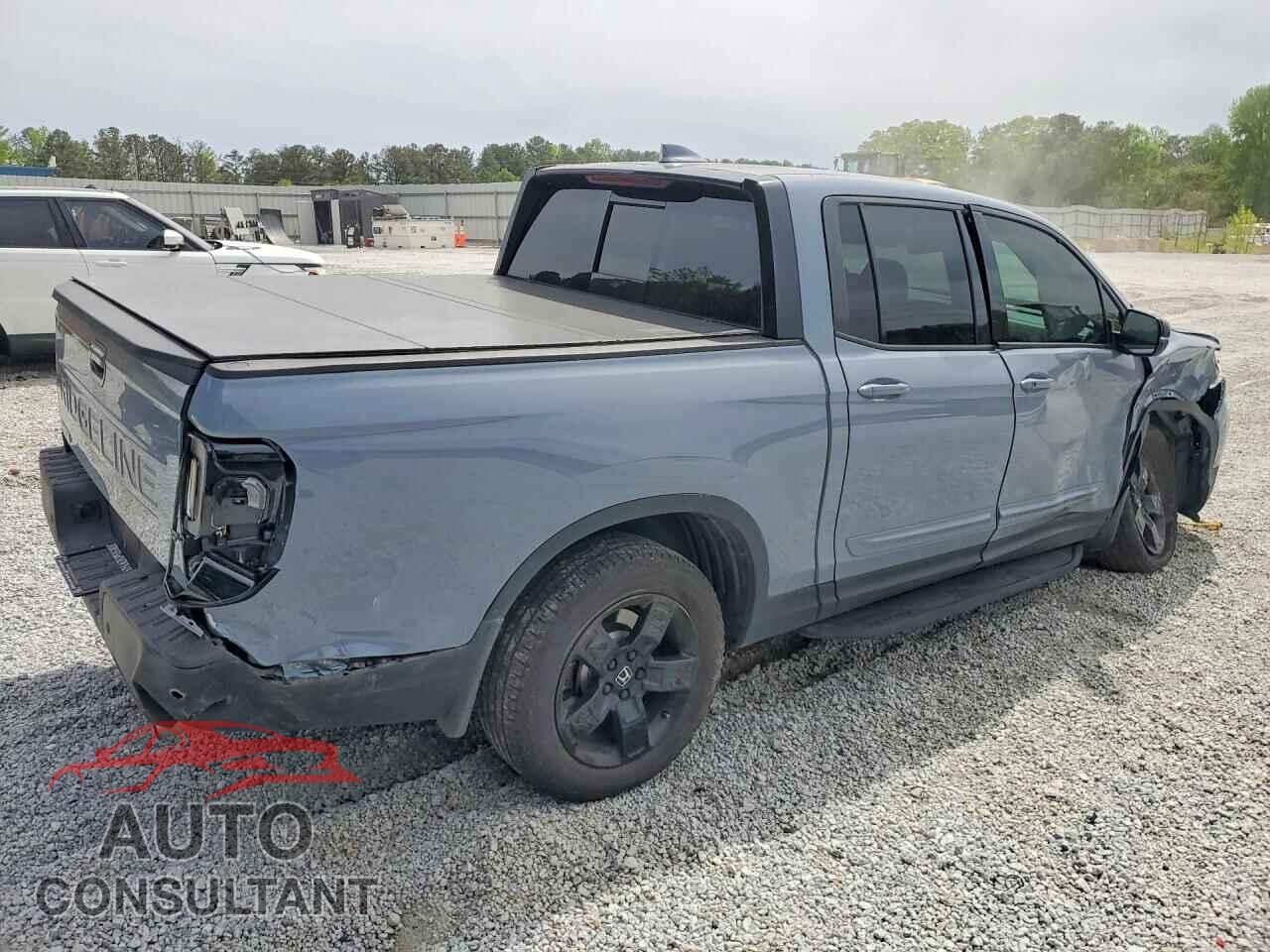 HONDA RIDGELINE 2024 - 5FPYK3F83RB025220