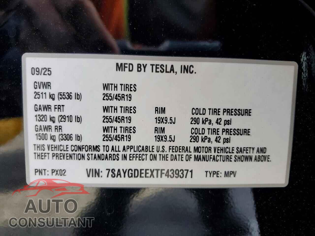 TESLA MODEL Y 2026 - 7SAYGDEEXTF439371