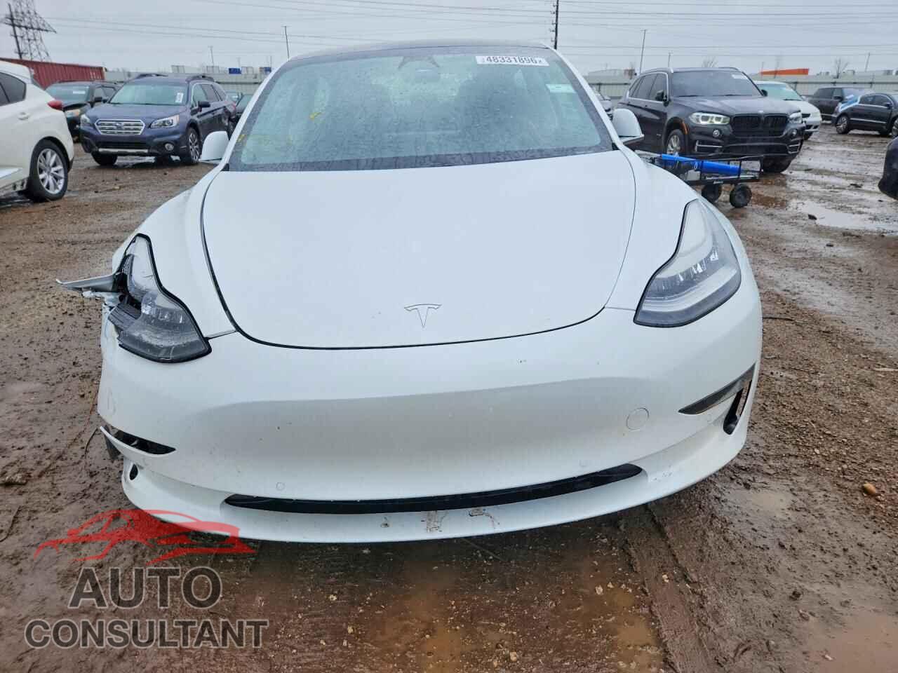 TESLA MODEL 3 2019 - 5YJ3E1EA2KF482500