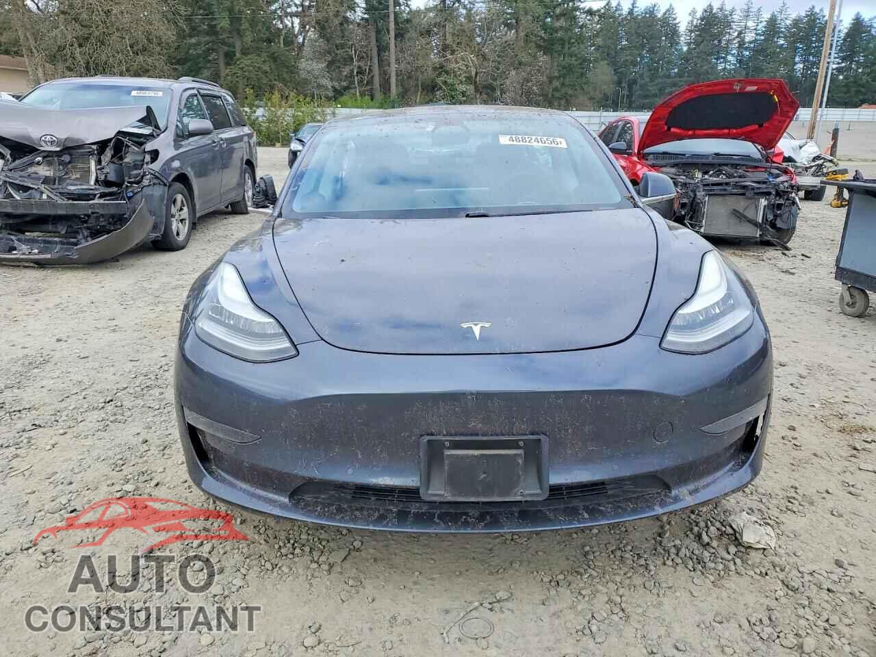 TESLA MODEL 3 2019 - 5YJ3E1EB8KF438428