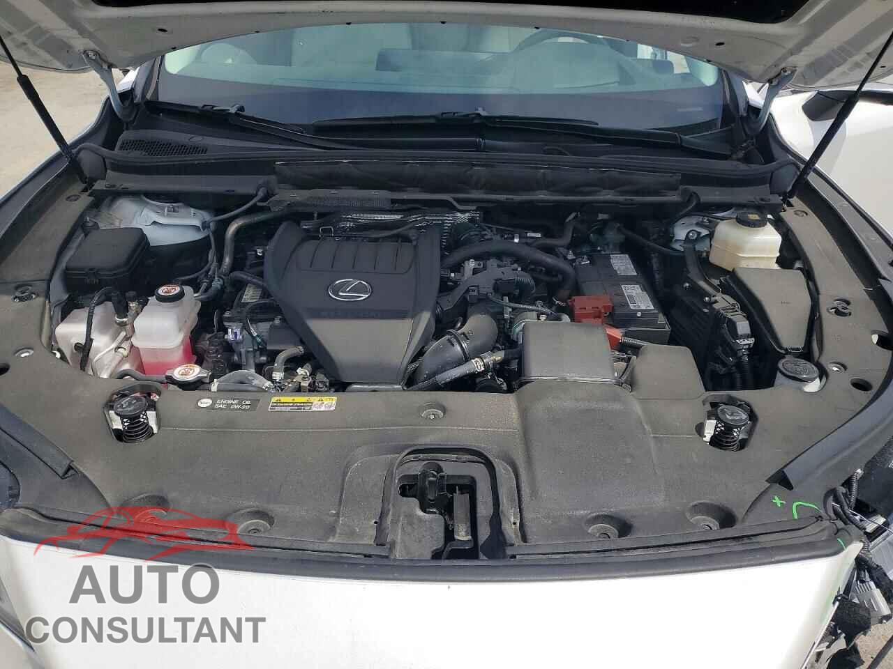 LEXUS RX350 2023 - 2T2BAMCA2PC004306