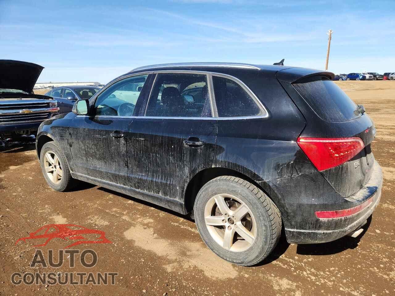 AUDI Q5 2011 - WA1VFCFP2BA096473