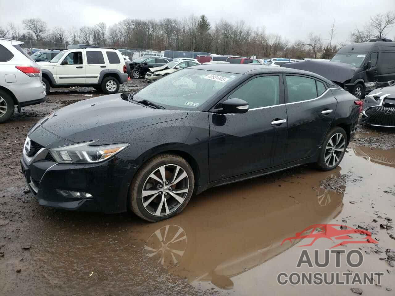 NISSAN MAXIMA 2016 - 1N4AA6AP2GC438887