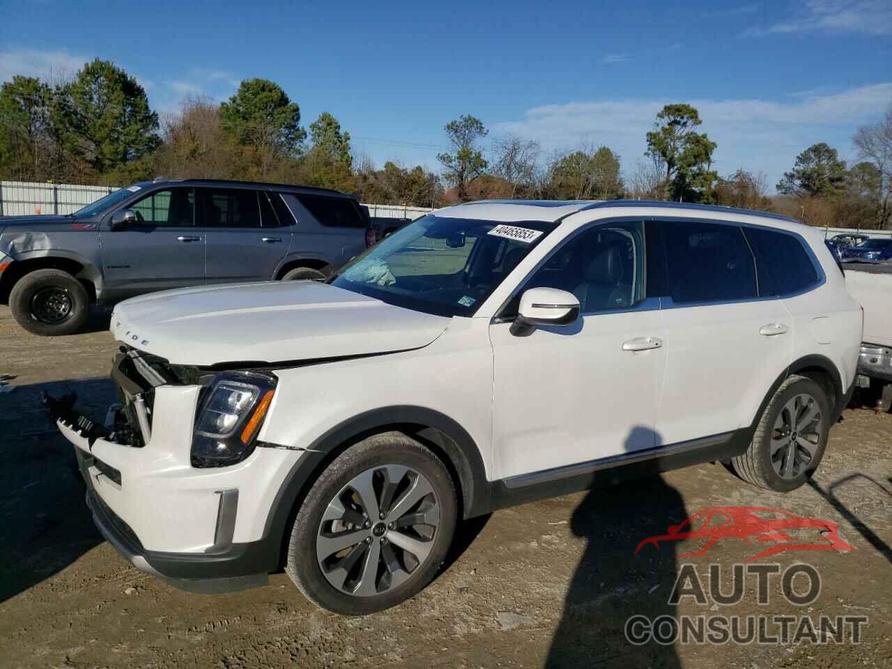 KIA TELLURIDE 2021 - 5XYP3DHC2MG113024