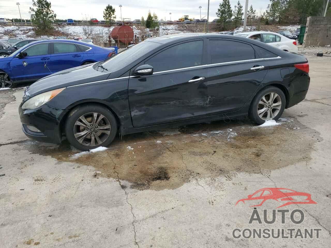 HYUNDAI SONATA 2011 - 5NPEC4AC1BH172489