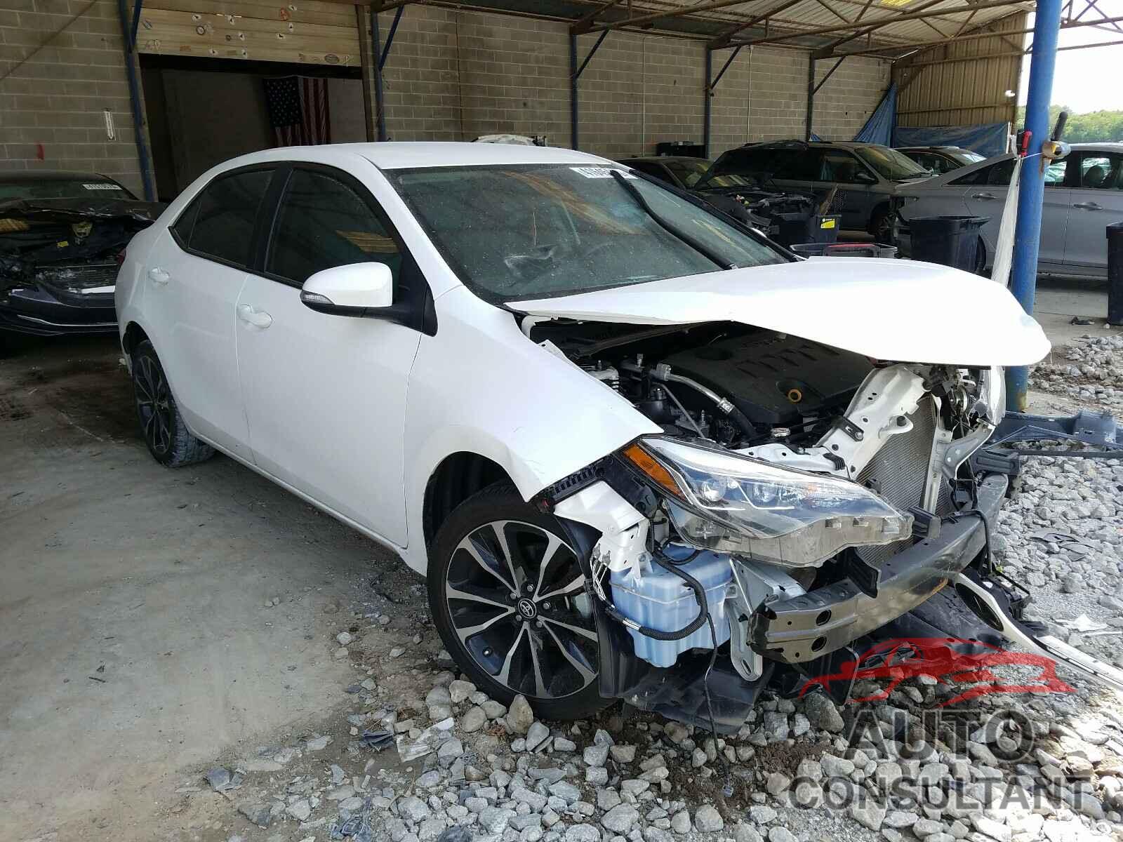 2019 COROLLA TOYOTA