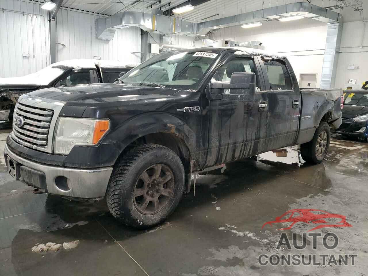 FORD F-150 2010 - 1FTFW1EVXAFC66711