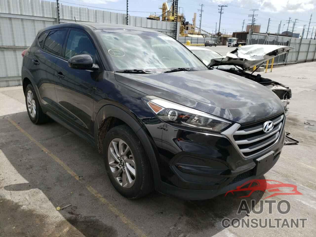 HYUNDAI TUCSON 2017 - KM8J23A44HU407501