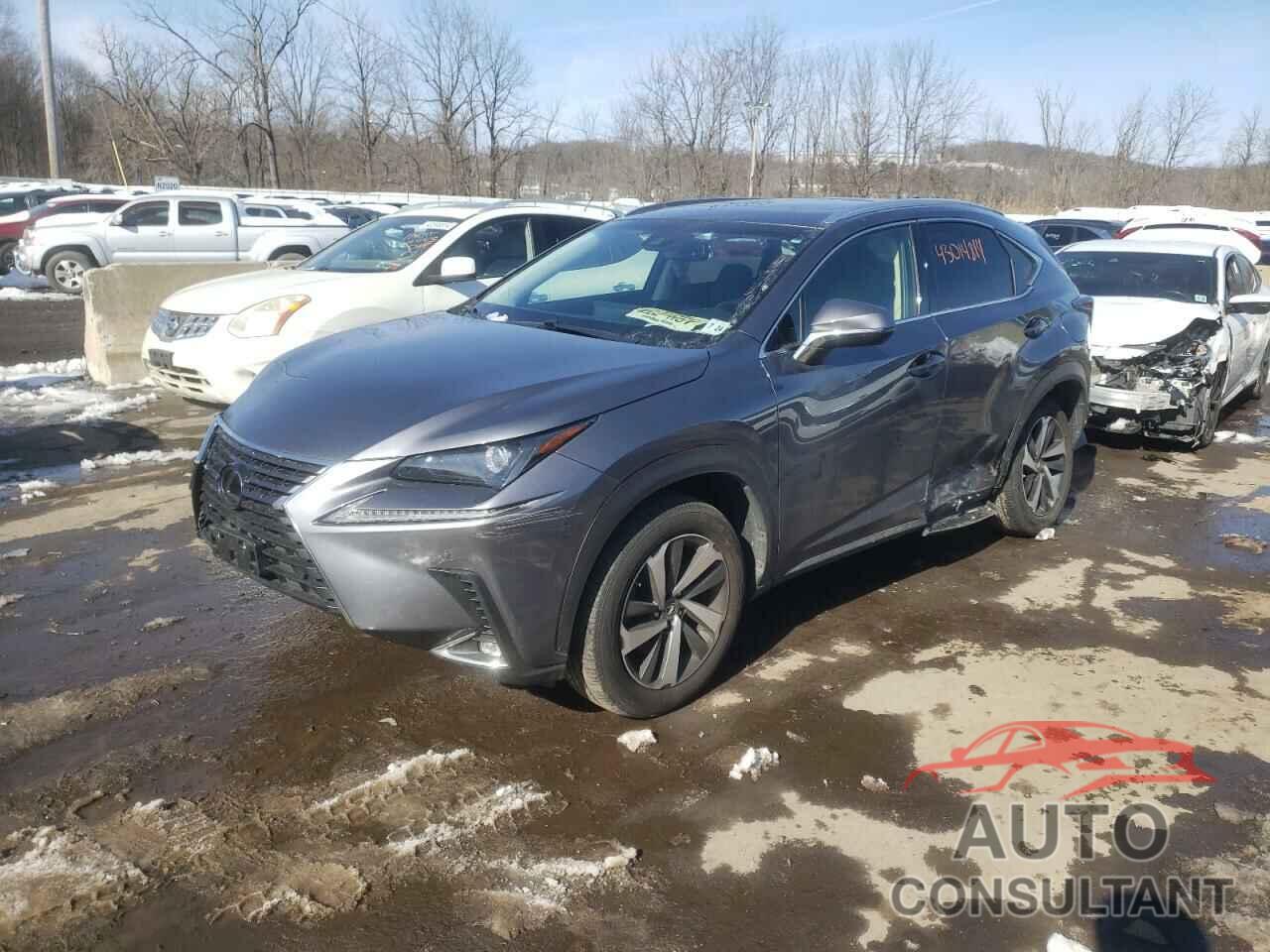 LEXUS NX 2019 - JTJBARBZ7K2216387