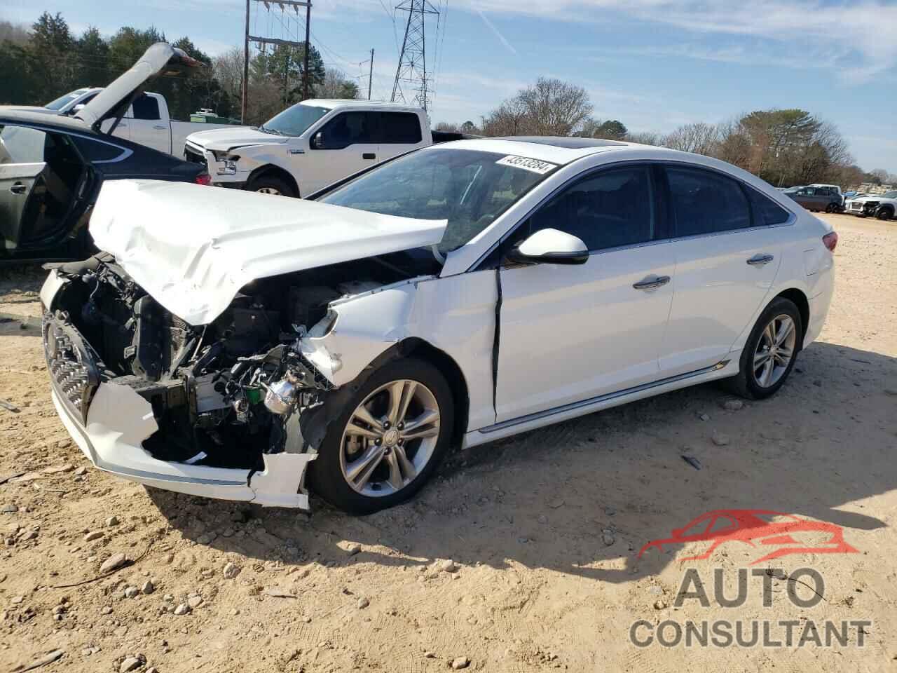 HYUNDAI SONATA 2019 - 5NPE34AF6KH732825