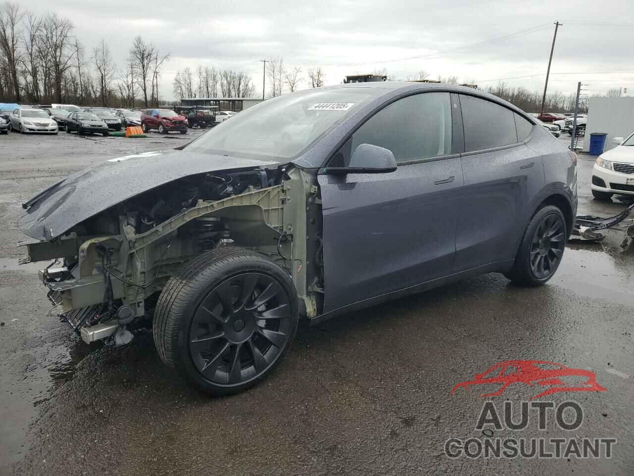 TESLA MODEL Y 2023 - 7SAYGDEE4PA070526
