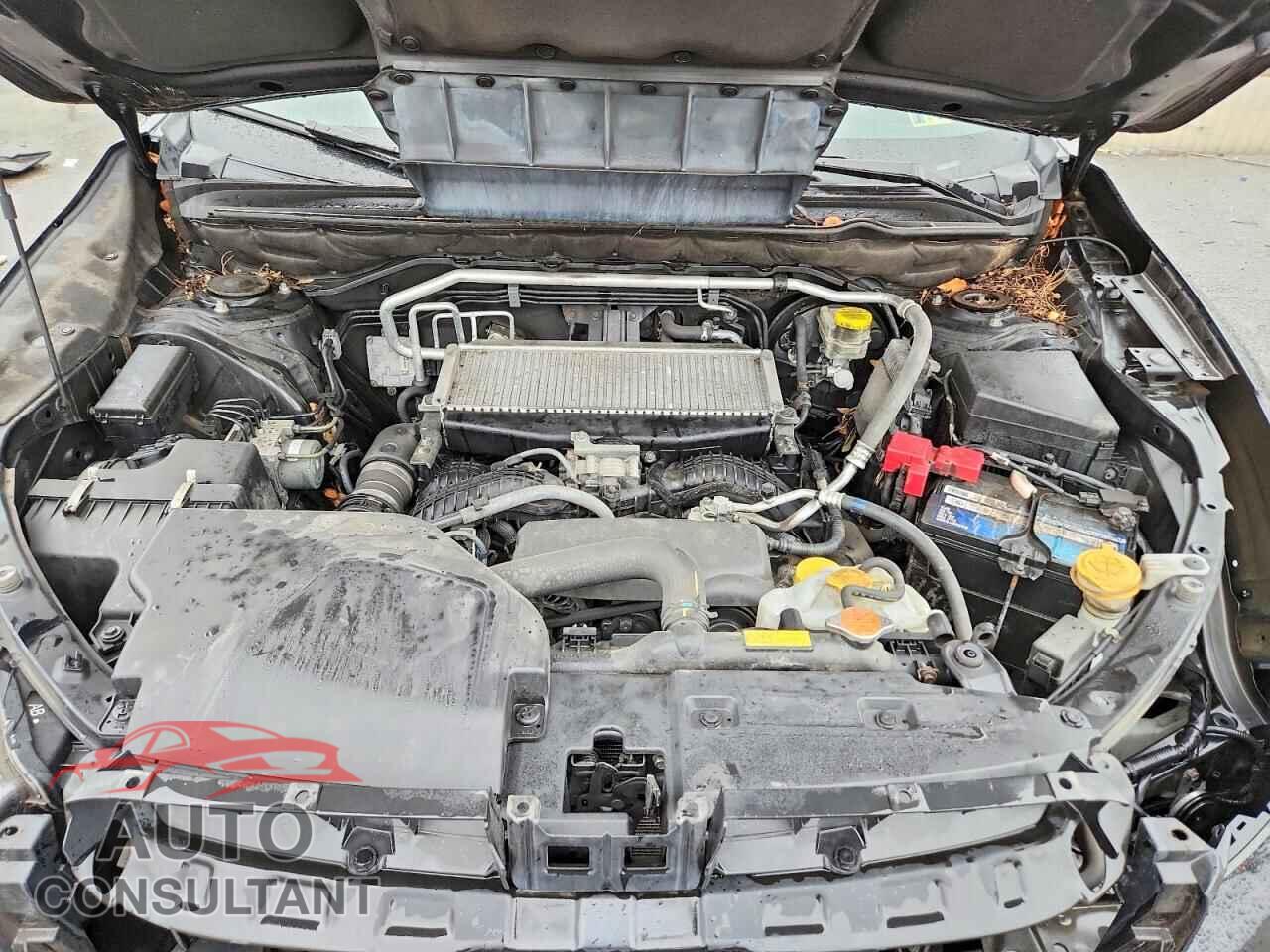 SUBARU ASCENT 2019 - 4S4WMAPDXK3432749
