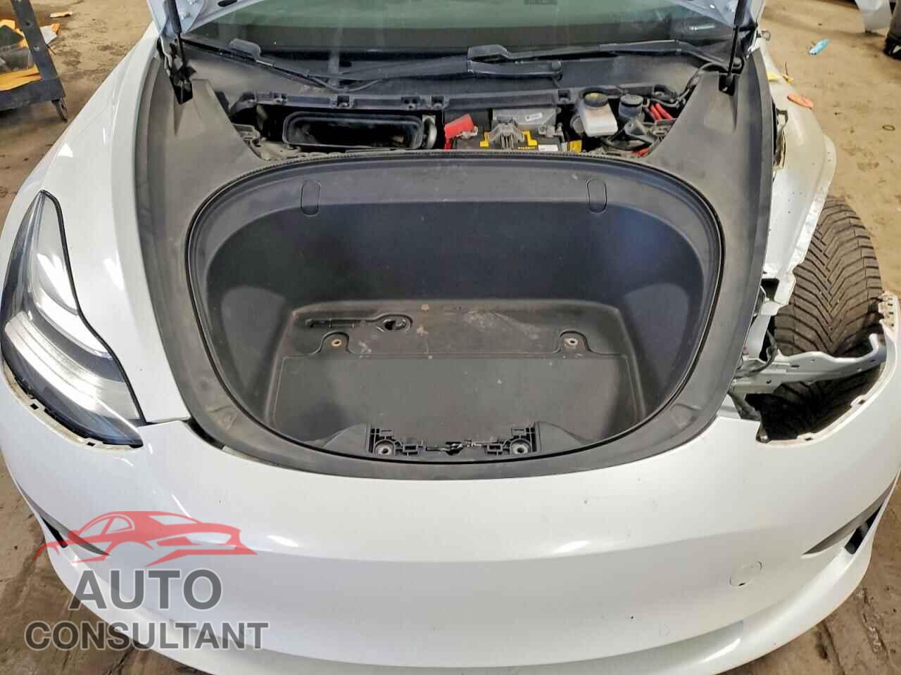 TESLA MODEL 3 2019 - 5YJ3E1EB3KF494907