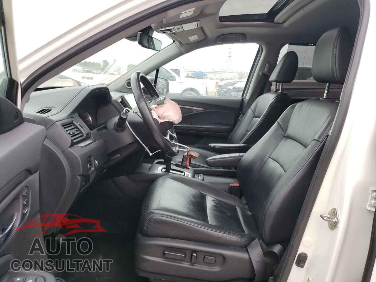 HONDA PILOT 2019 - 5FNYF5H56KB022071