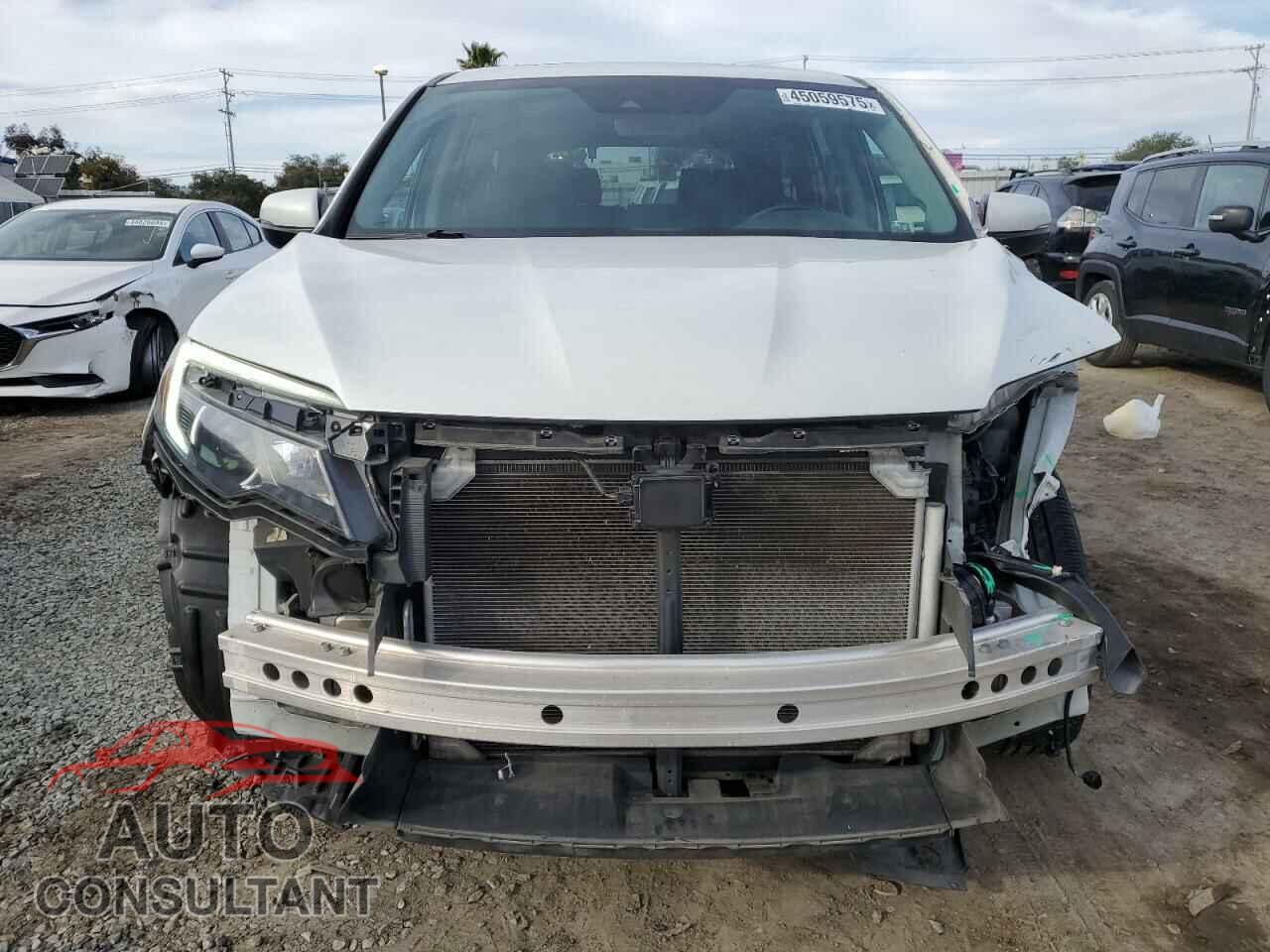 HONDA PILOT 2020 - 5FNYF5H52LB005446