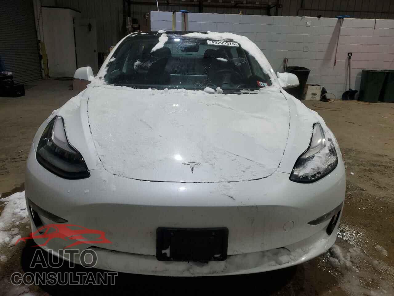 TESLA MODEL 3 2019 - 5YJ3E1EA5KF484449