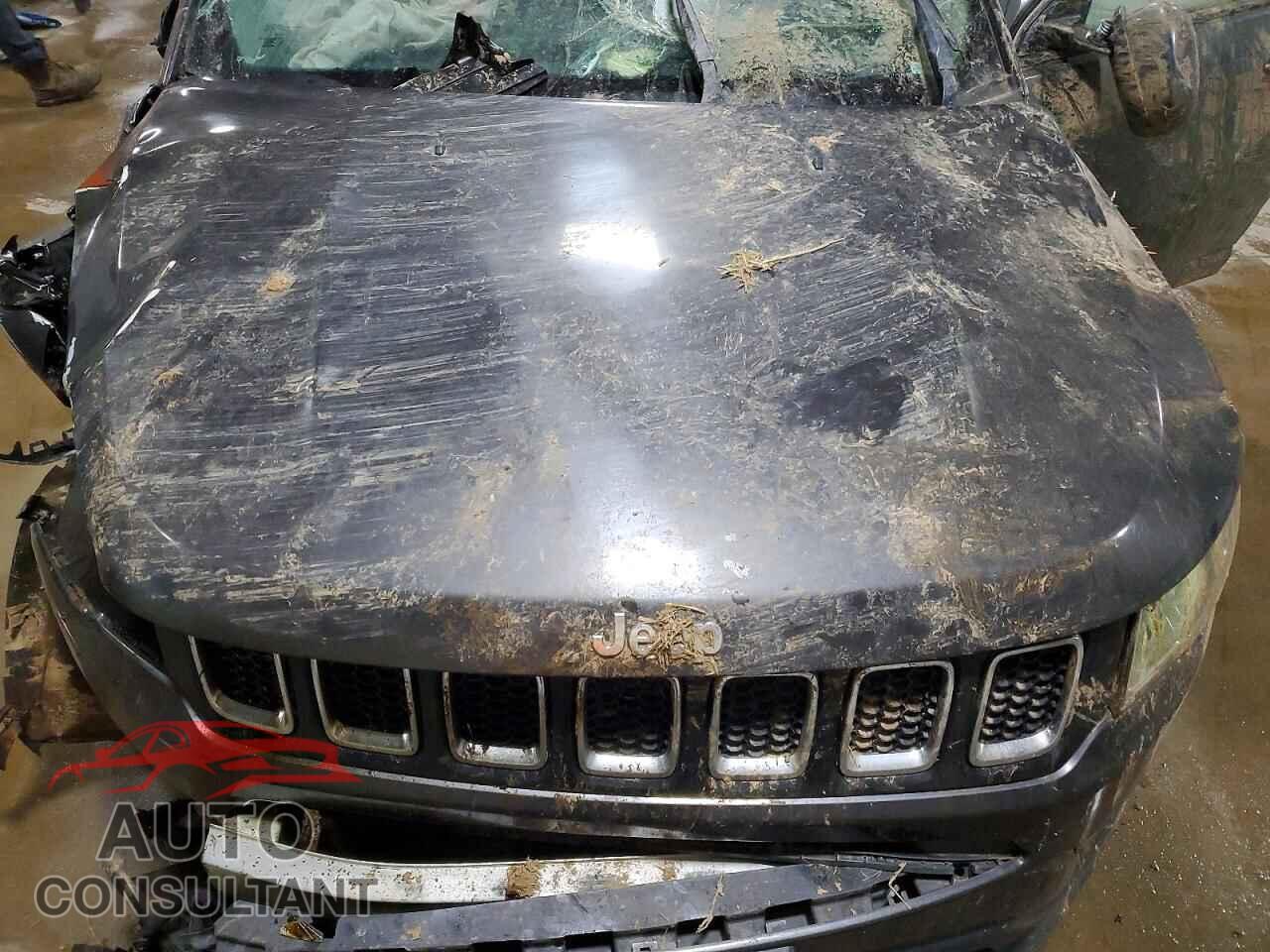 JEEP COMPASS 2019 - 3C4NJDBB4KT647113