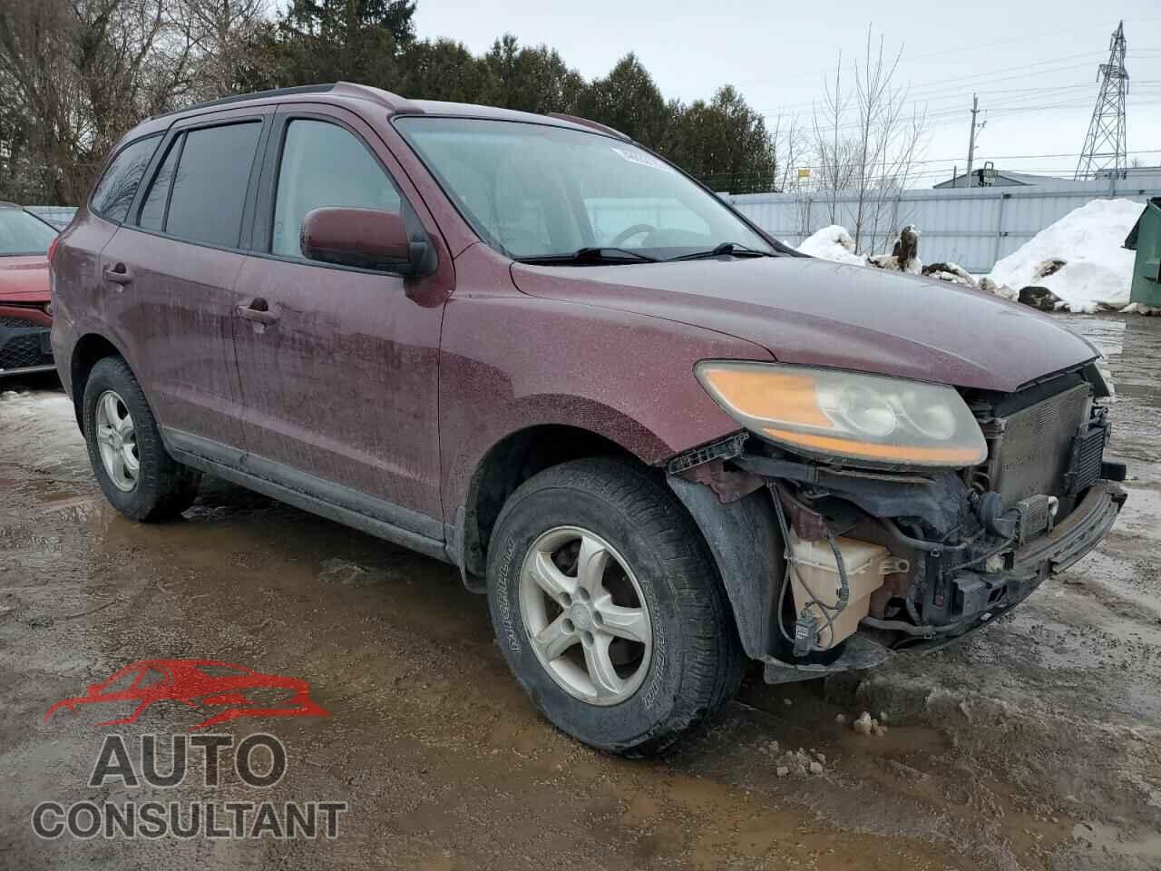HYUNDAI SANTA FE 2009 - 5NMSG13E59H290749