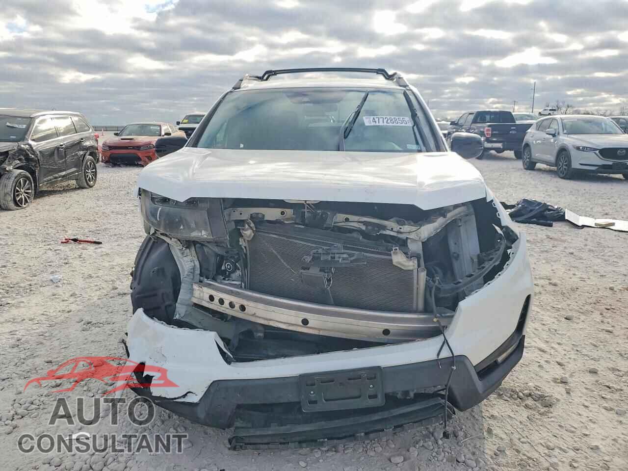 HONDA RIDGELINE 2021 - 5FPYK3F13MB002189