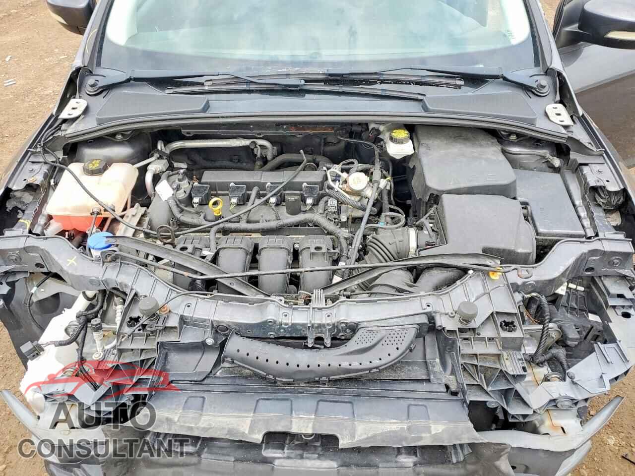 FORD FOCUS 2017 - 1FADP3F29HL319923
