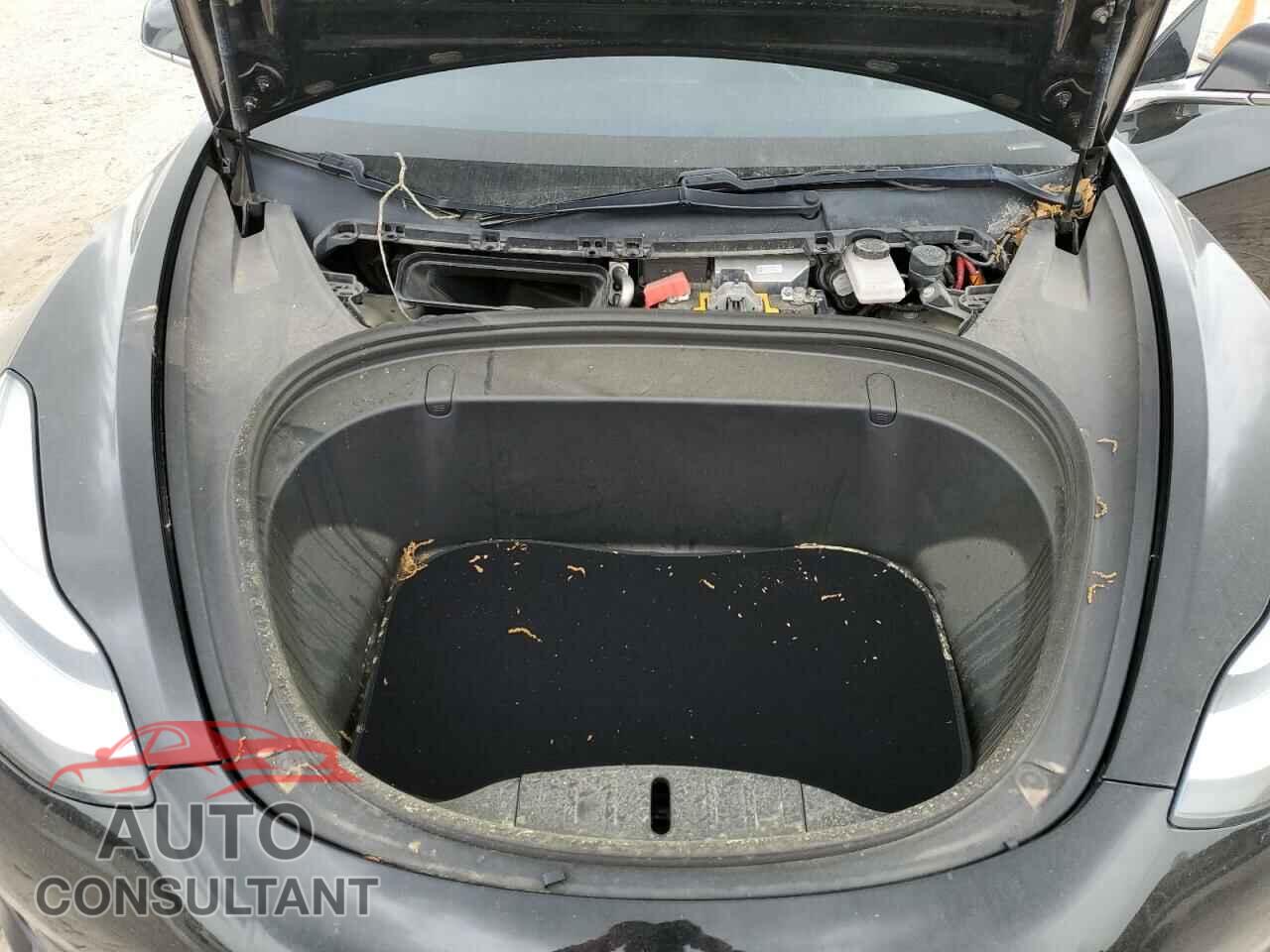 TESLA MODEL 3 2019 - 5YJ3E1EA7KF198666
