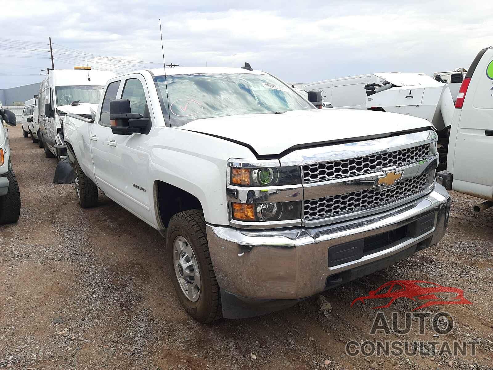 CHEVROLET SILVERADO 2019 - 2GC2CSEG4K1120621