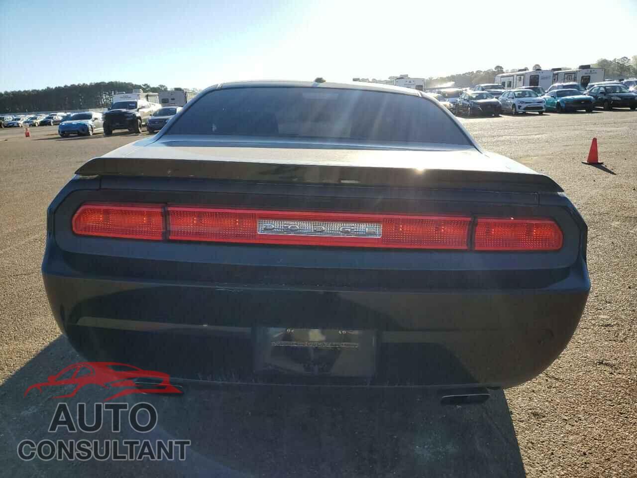 DODGE CHALLENGER 2014 - 2C3CDYAG6EH307515