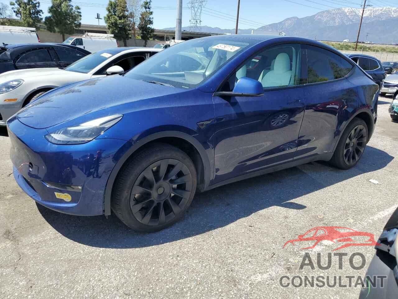 TESLA MODEL Y 2022 - 7SAYGDEEXNF543989