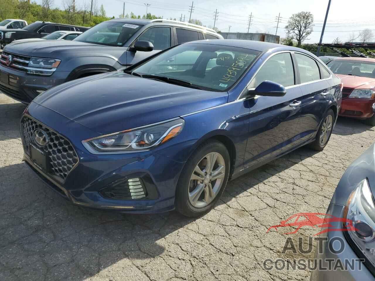 HYUNDAI SONATA 2019 - 5NPE34AF2KH792424