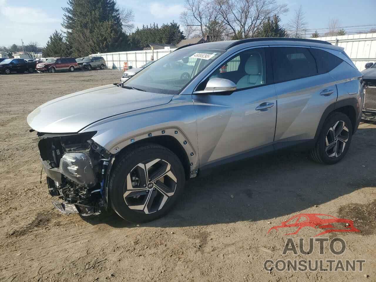 HYUNDAI TUCSON 2024 - 5NMJECDE9RH302784