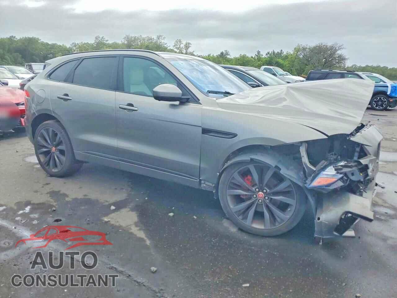 JAGUAR F-PACE 2019 - SADCM2FVXKA357784