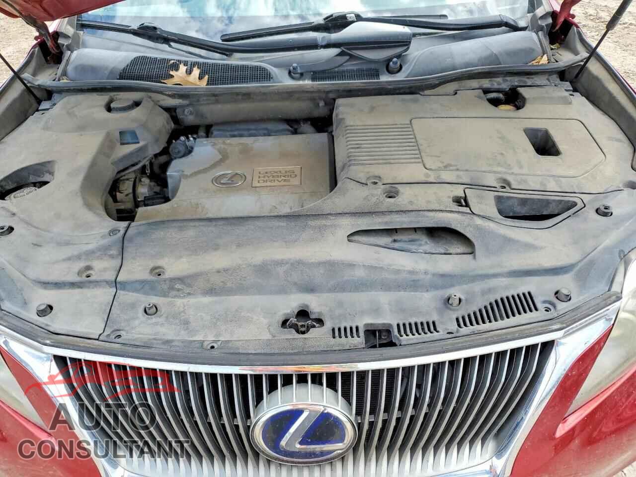 LEXUS RX450 2010 - JTJBC1BA3A2028955