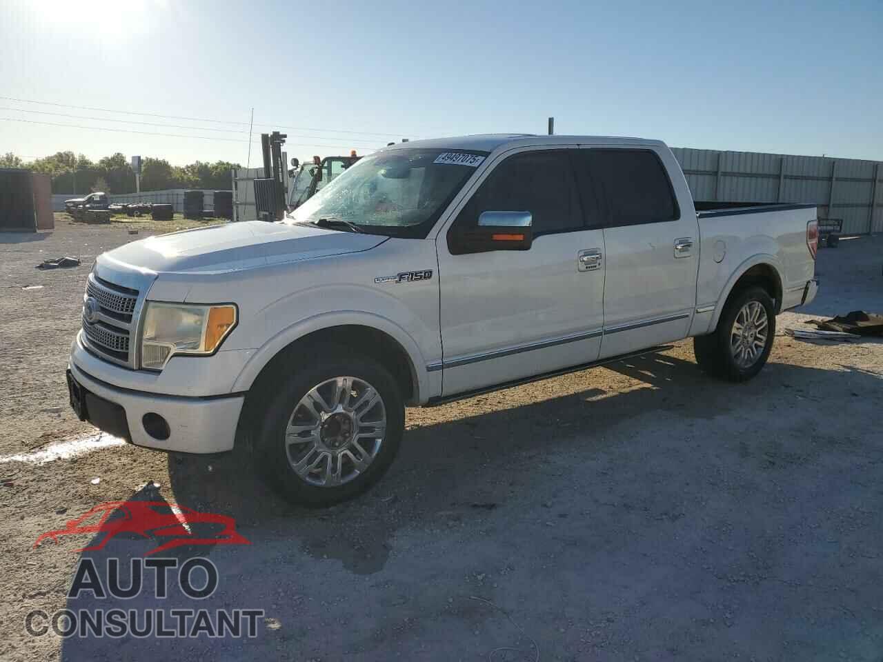 FORD F-150 2010 - 1FTFW1CV1AFD16351