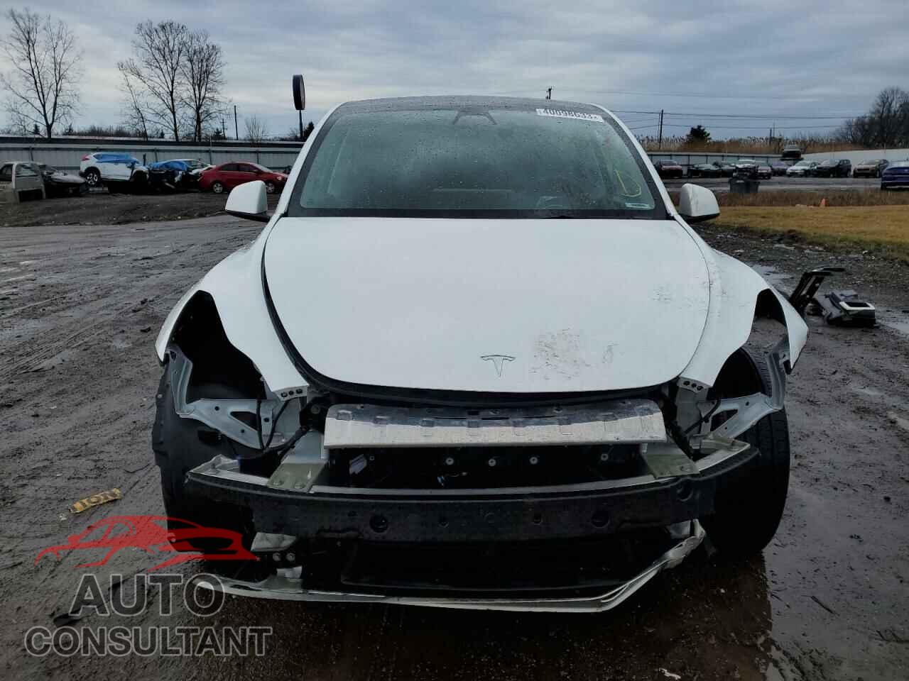 TESLA MODEL Y 2021 - 5YJYGDEE4MF297792