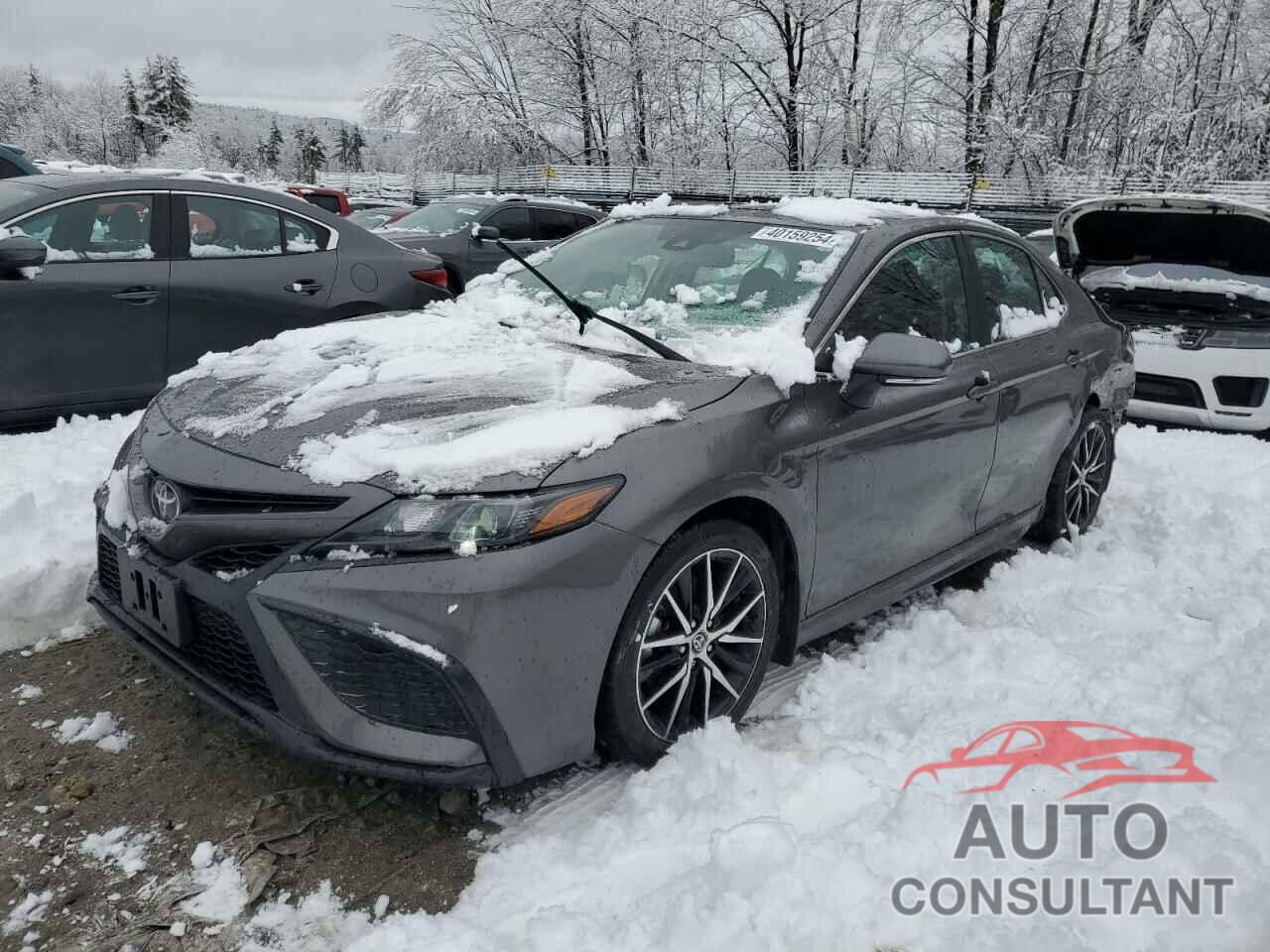 TOYOTA CAMRY 2023 - 4T1T11BK7PU095945
