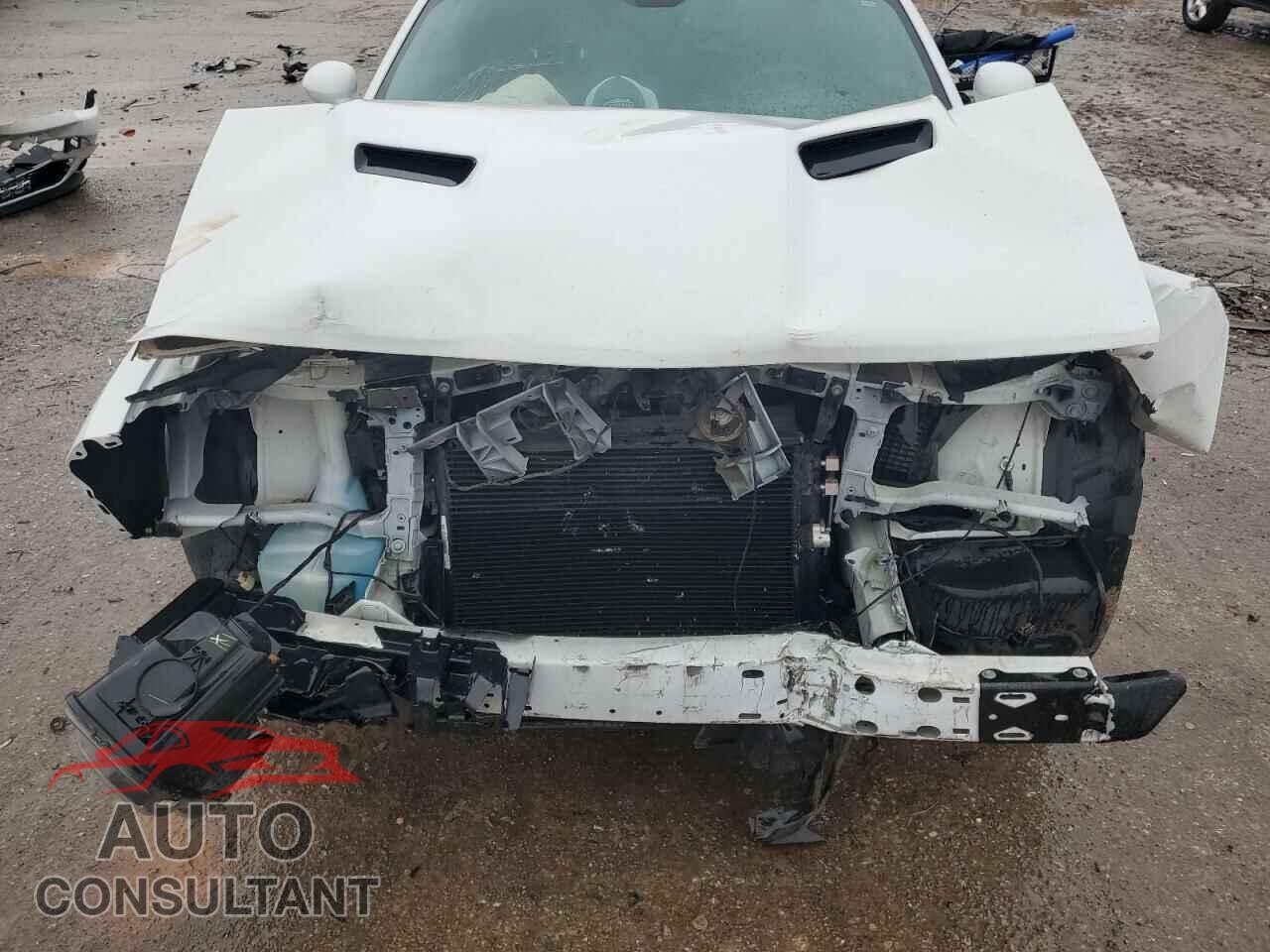 DODGE CHALLENGER 2019 - 2C3CDZAG8KH649582