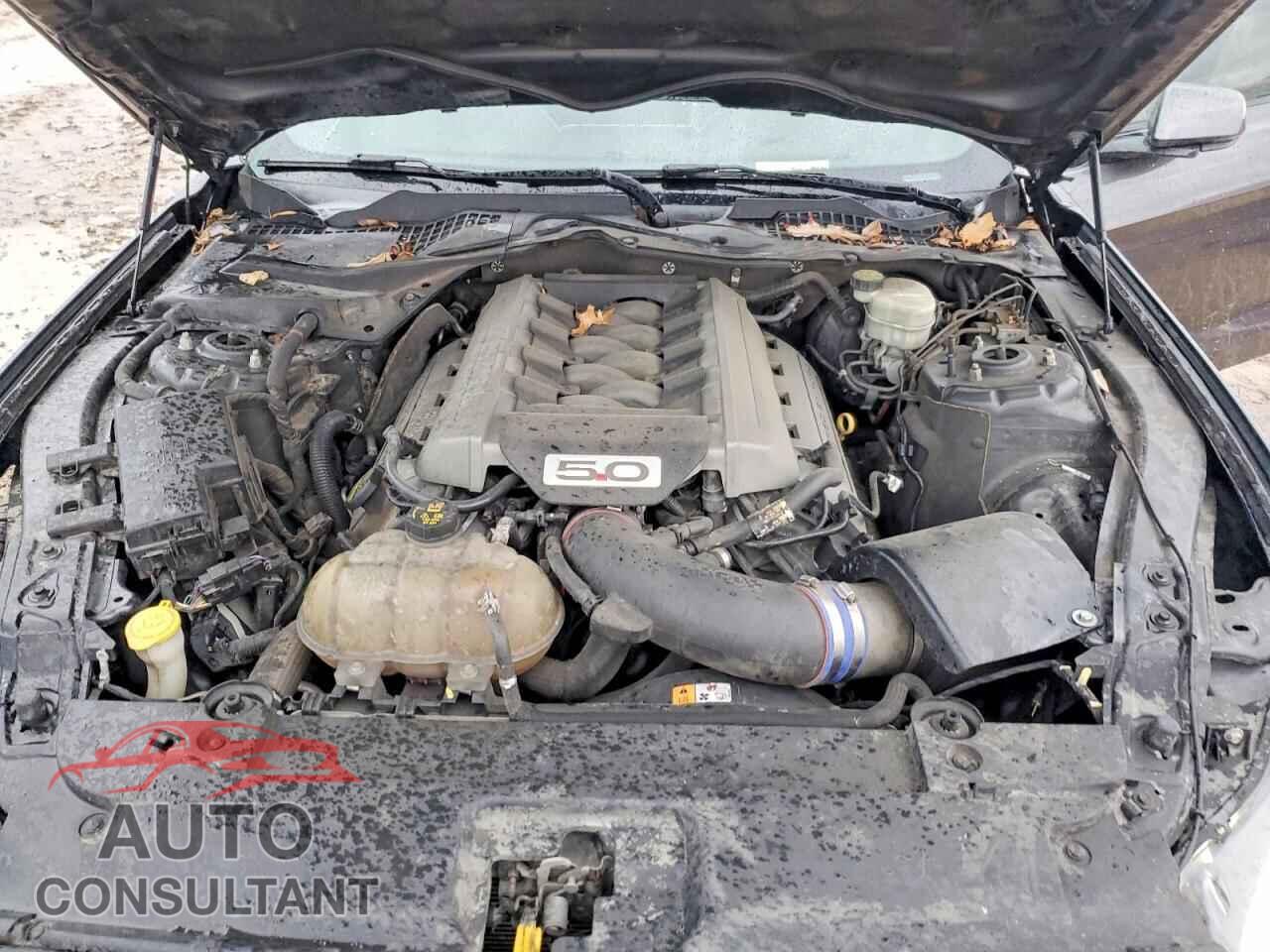 FORD MUSTANG 2015 - 1FA6P8CF2F5311032